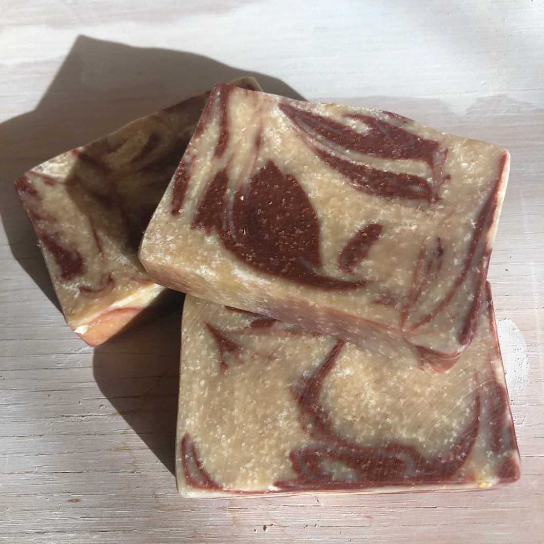 Shampoo Bar—Orange Clove